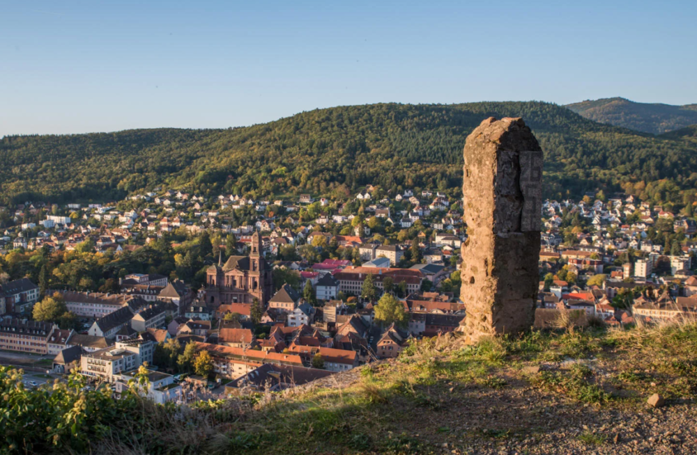 Dis vin • Capture décran 2026 03 04 131000