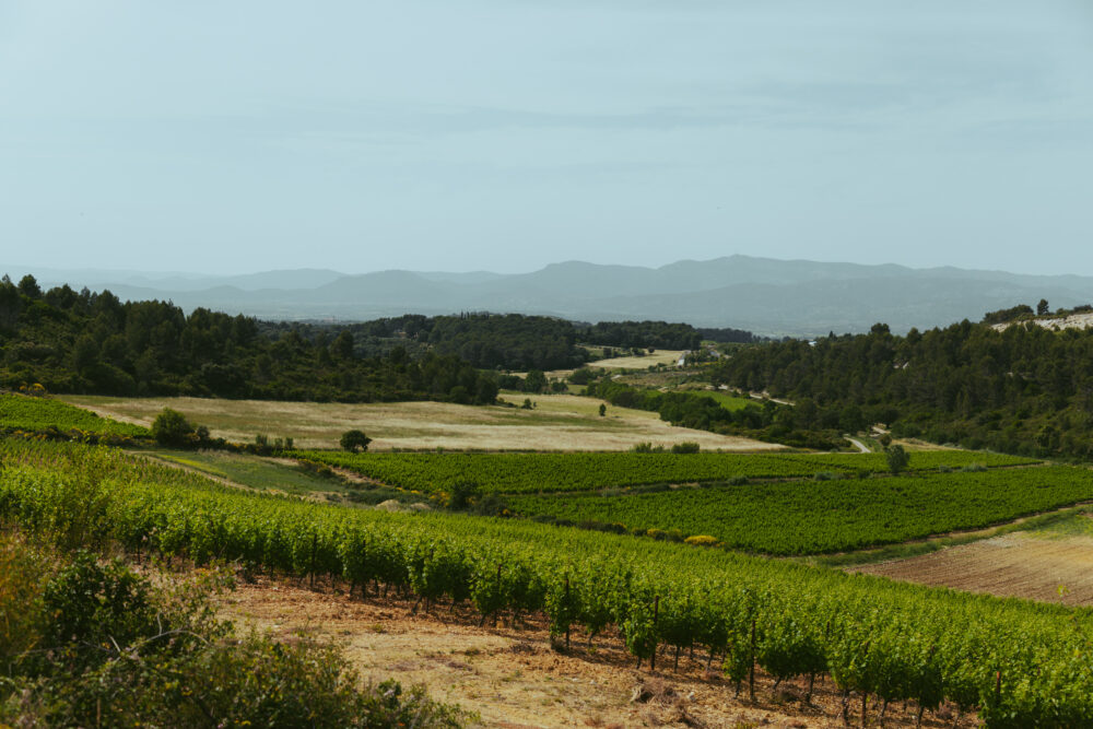 Dis vin • Domaine Desvabre 8459 Bastien Seon 1